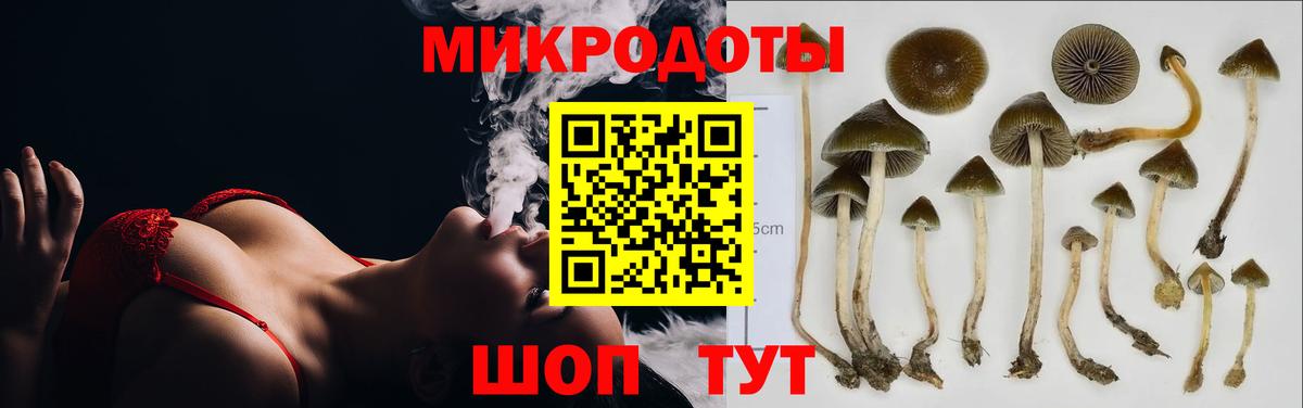 Белая Калитва  Псилоцибиновые грибы мицелий  Вход с VPN 